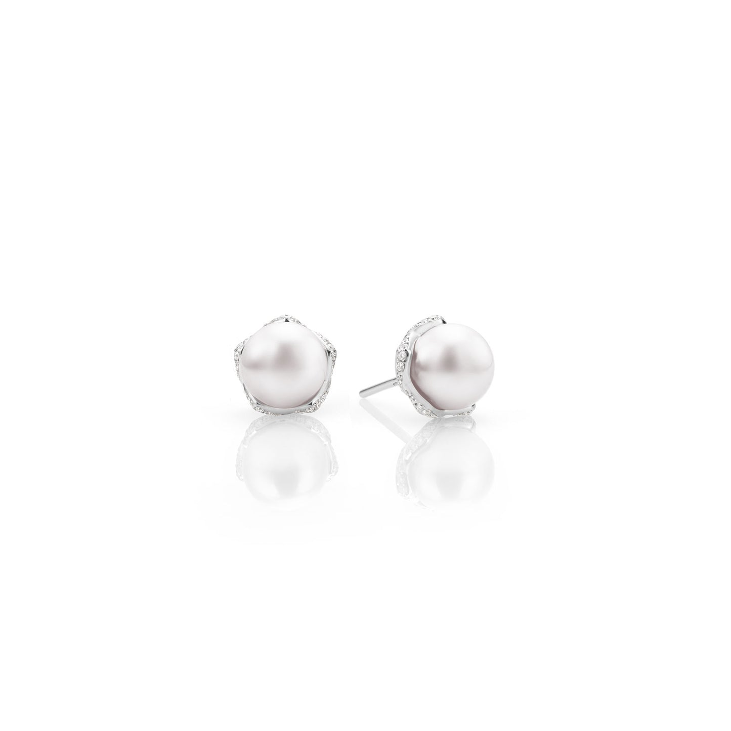 Embrace Akoya Cultured Pearl & Diamond Stud Earrings in 18ct White Gold simple Pursuit