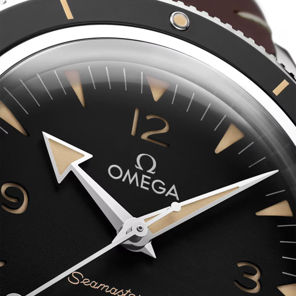 Seamaster 300 Co-Axial 41mm variant Pursuit