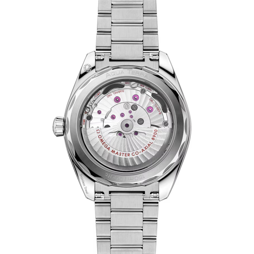 Seamaster Aqua Terra 150m Co-Axial 41mm variant Pursuit