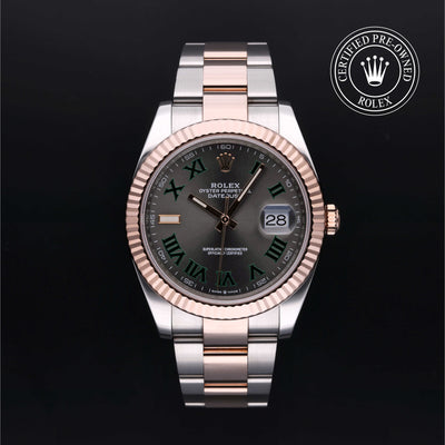 Oyster Perpetual Datejust 41 Watches Rolex