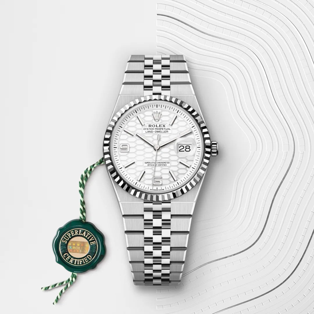 Land-Dweller 36 Rolex
