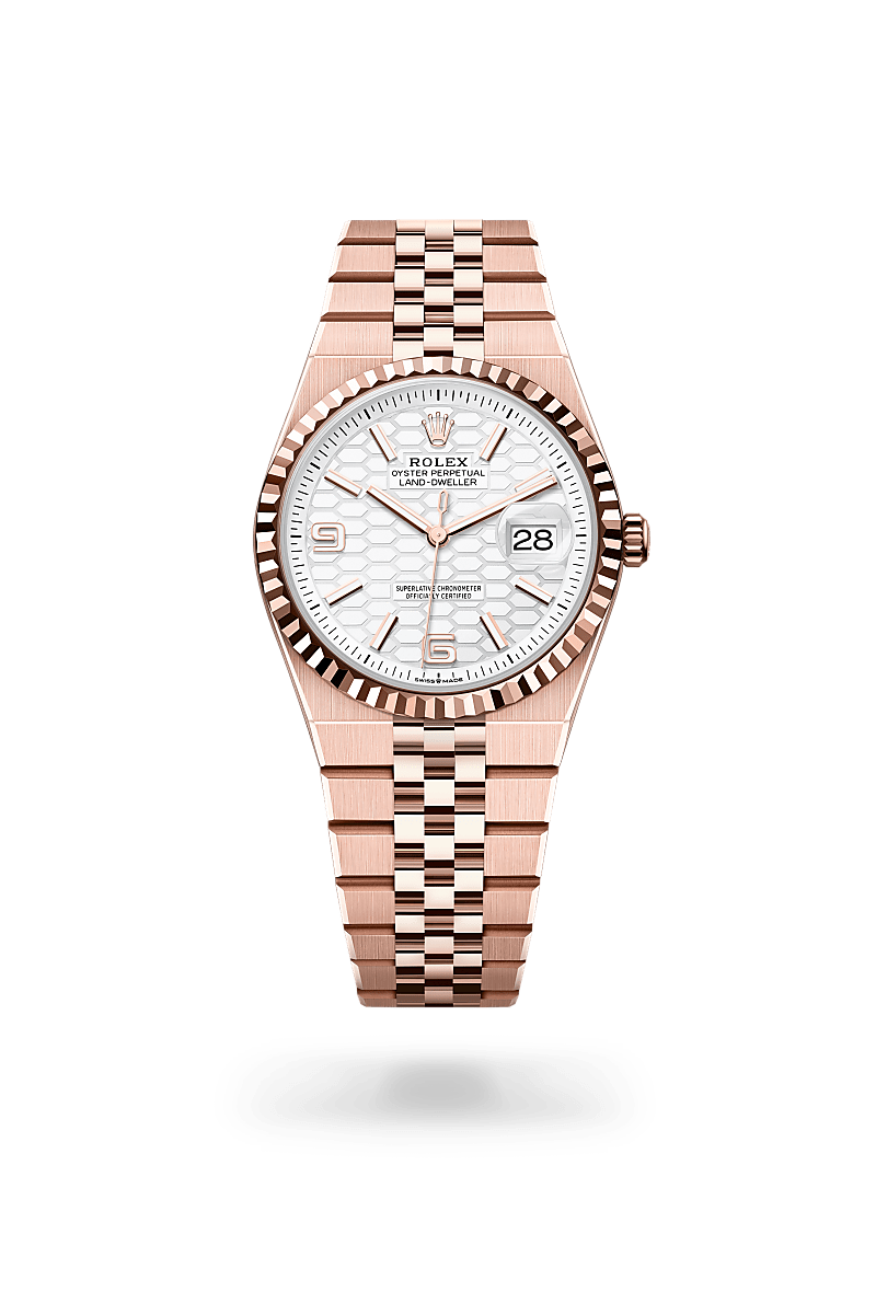 Land-Dweller 36 Rolex