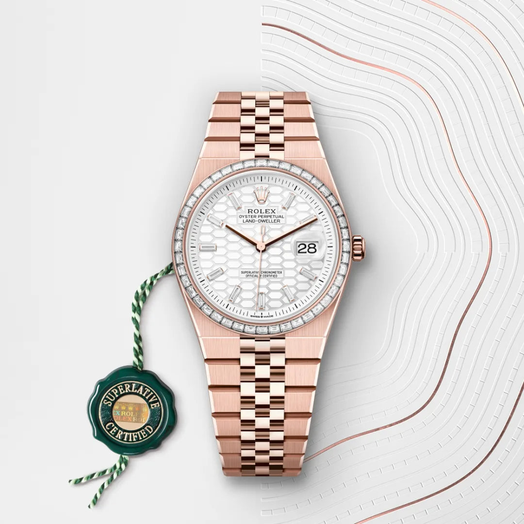 Land-Dweller 36 Rolex