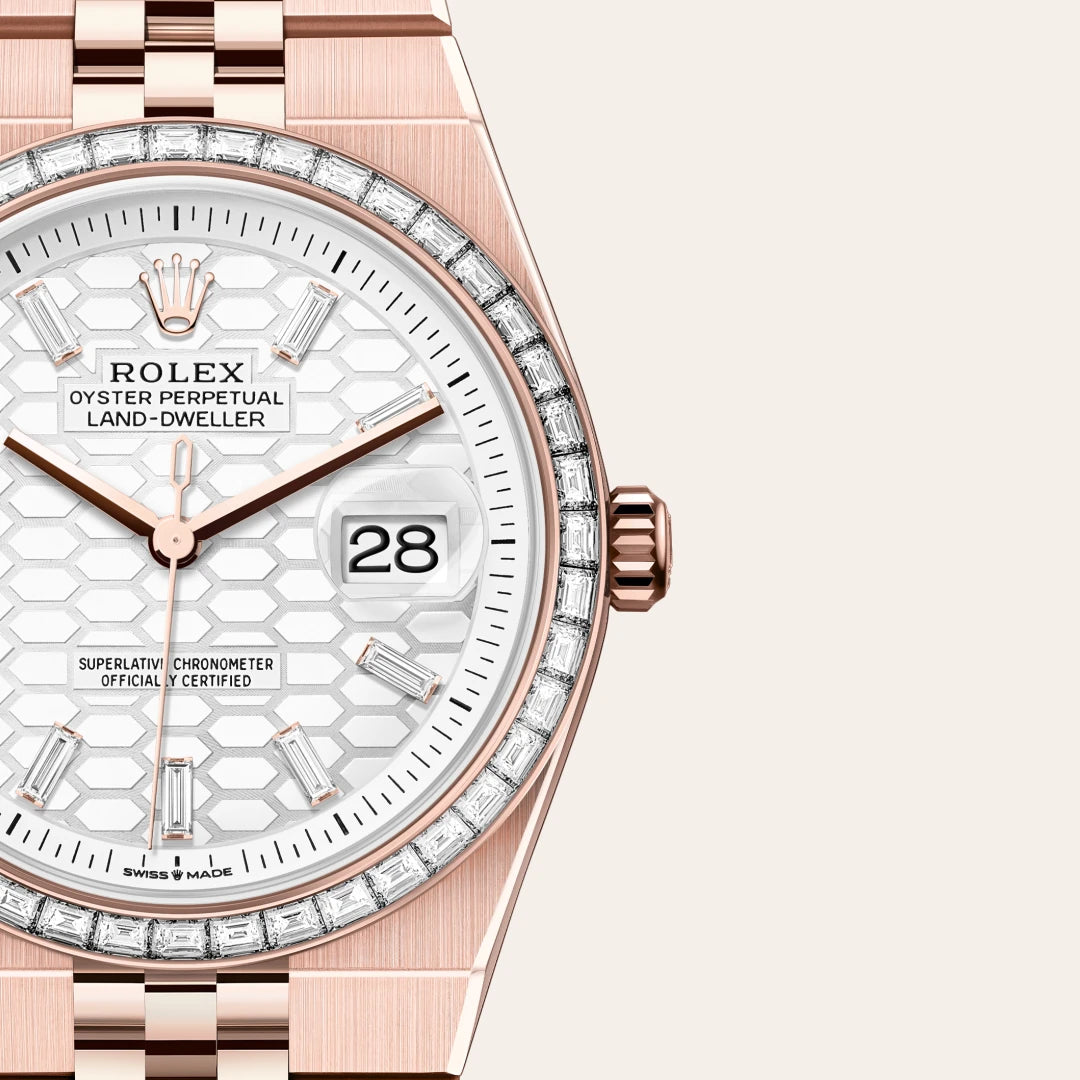 Land-Dweller 36 Rolex