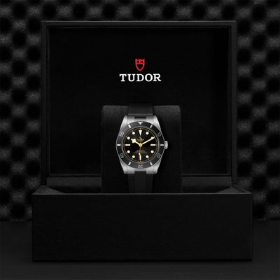 Black Bay 54 37mm simple Pursuit