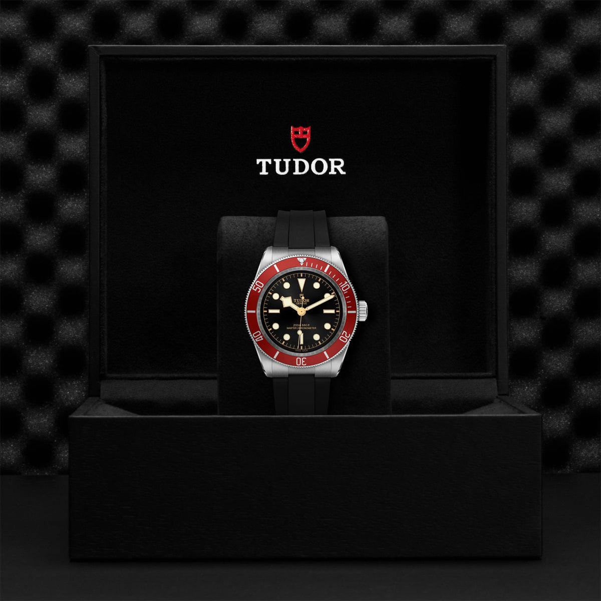 Black Bay 41mm