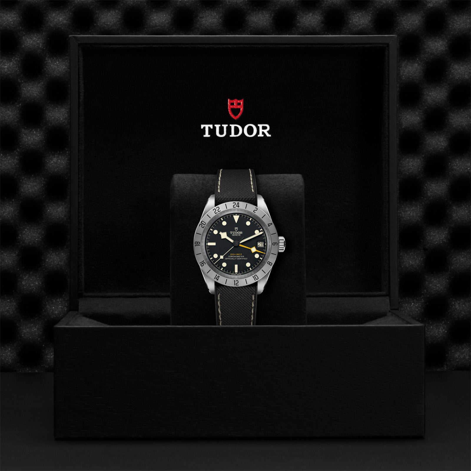 Black Bay Pro 39mm variant Pursuit