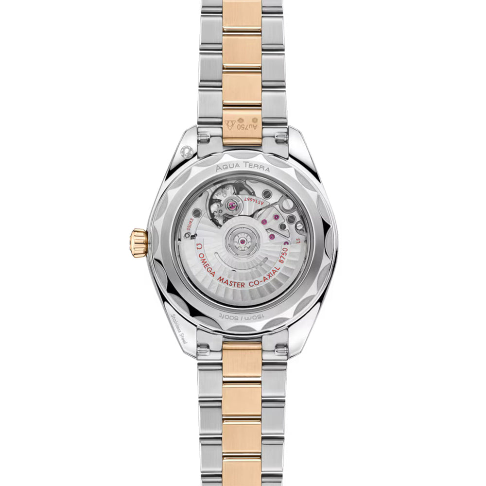 Seamaster Aqua Terra 150m Co-Axial 30mm variant Pursuit