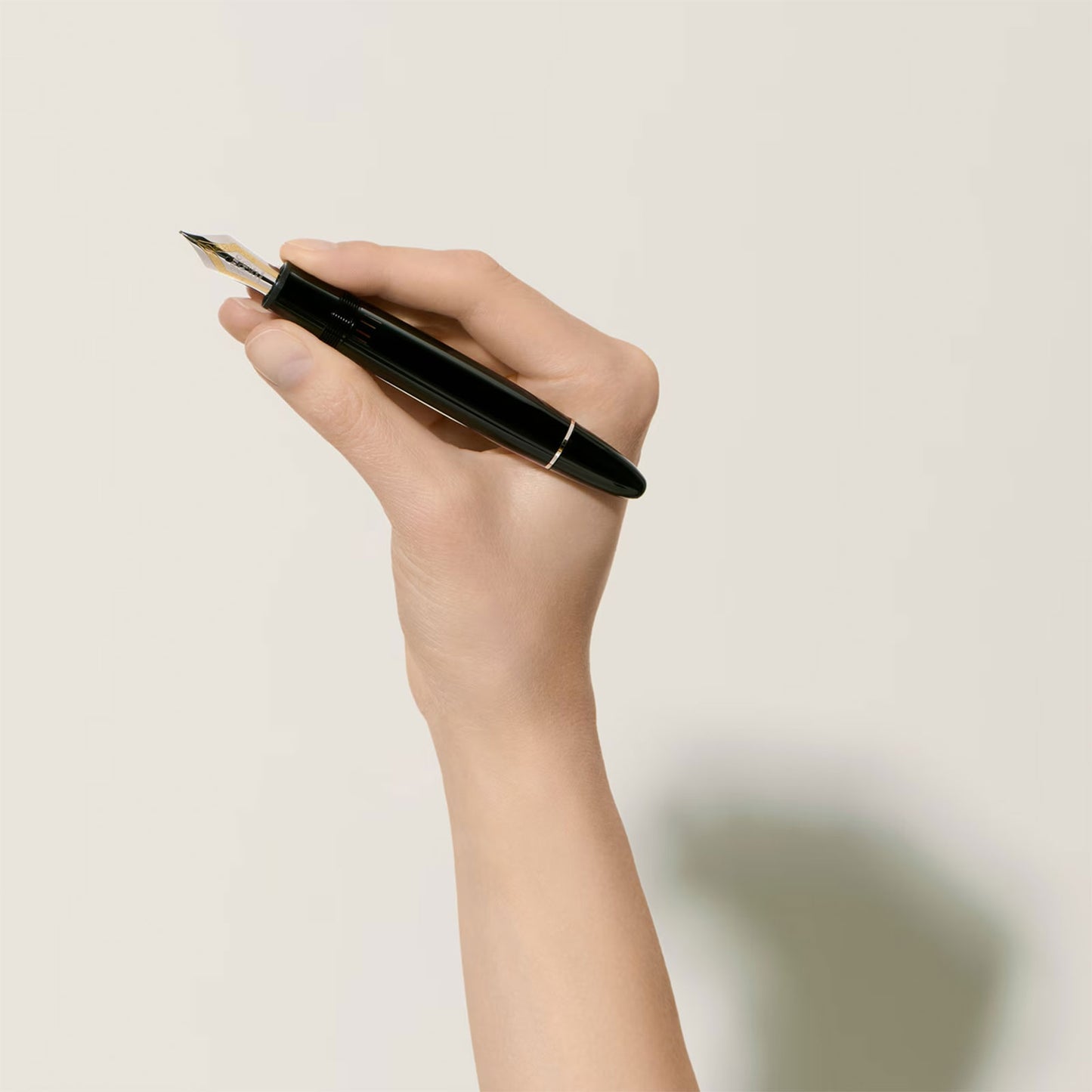 Meisterstück Platinum-Coated 149 Fountain Pen