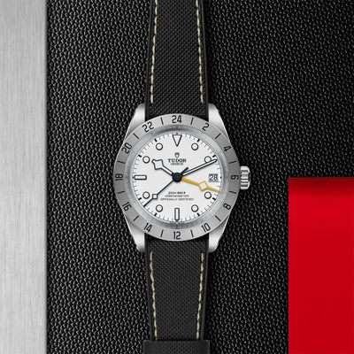 Black Bay Pro 39mm simple Pursuit