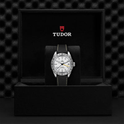 Black Bay Pro 39mm simple Pursuit