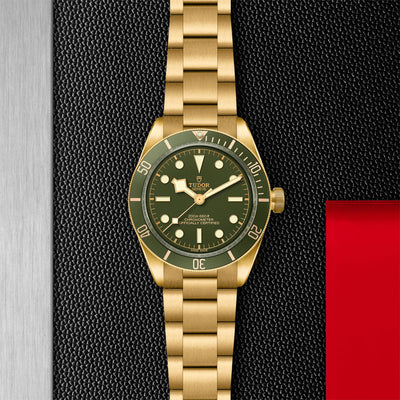 Black Bay 58 18K 39mm simple Pursuit