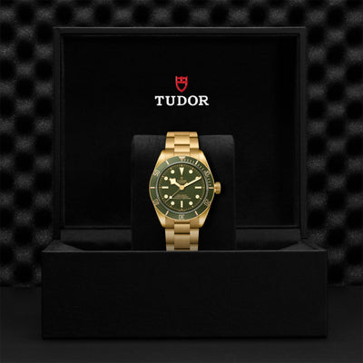 Black Bay 58 18K 39mm simple Pursuit