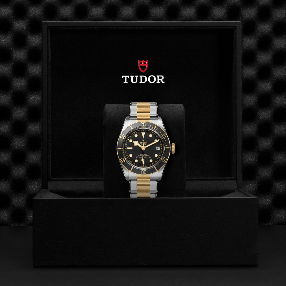 Black Bay S&G 41mm variant Pursuit
