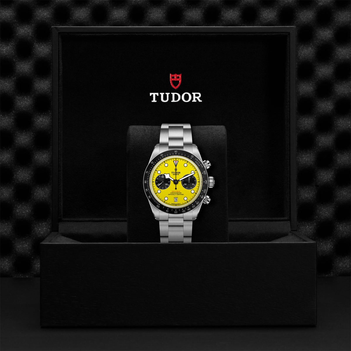 Black Bay Chrono 39 'Bumblebee' 39mm variant Pursuit