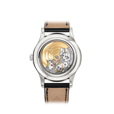 Complications Annual Calendar & Moon Phases 5205G-013 variant Pursuit