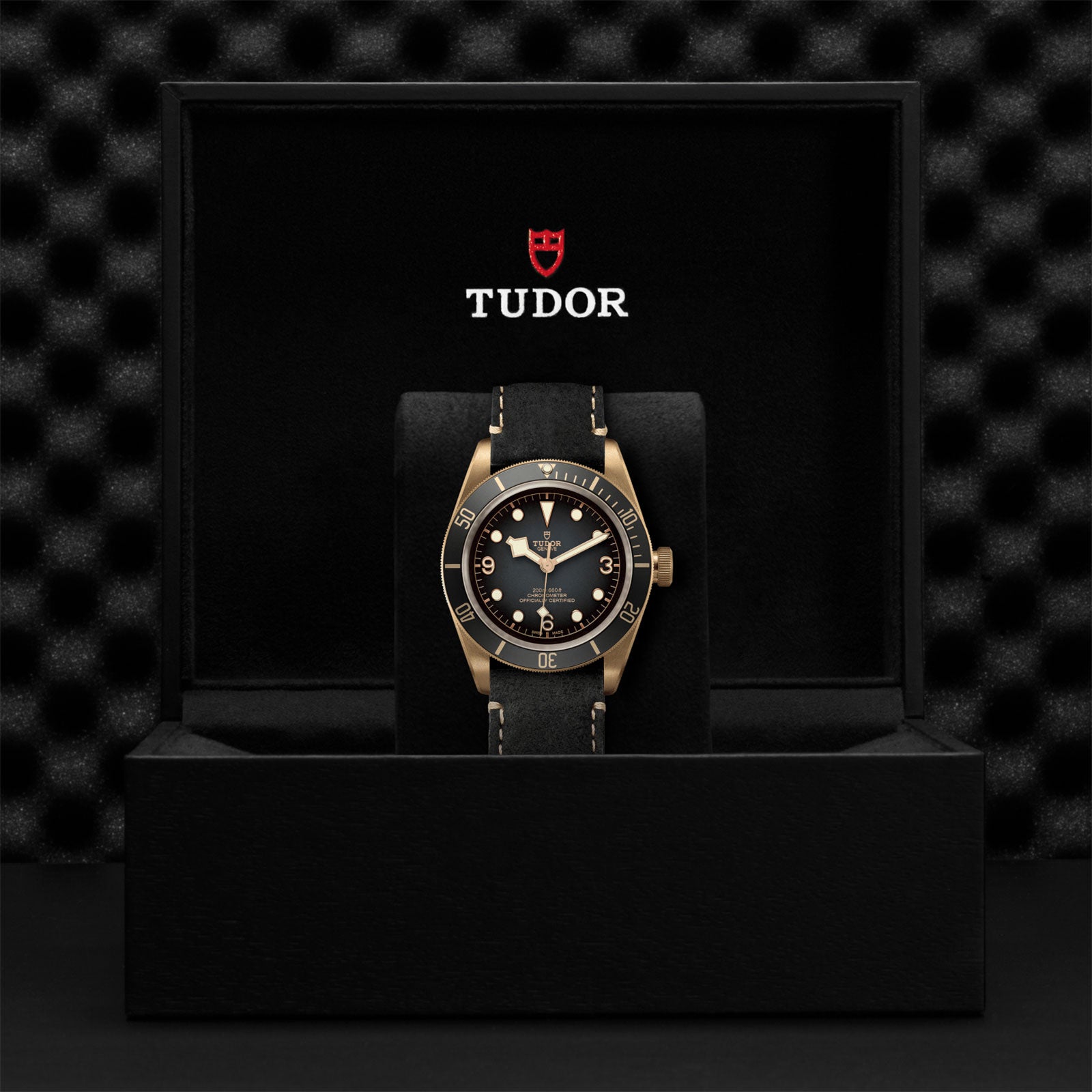 Black Bay Bronze 43mm