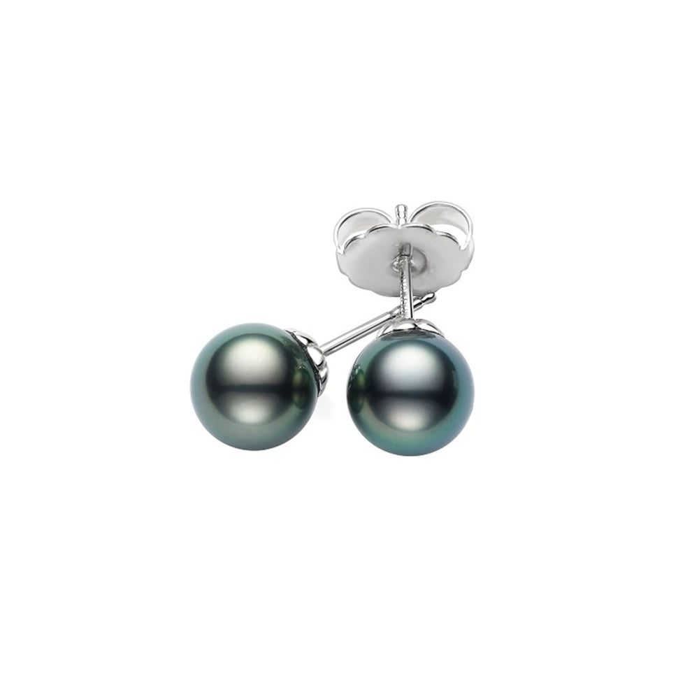 Classic Black South Sea Cultured Pearl Stud Earrings in 18ct White Gold variant Pursuit