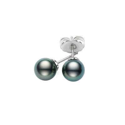Classic Black South Sea Cultured Pearl Stud Earrings in 18ct White Gold variant Pursuit