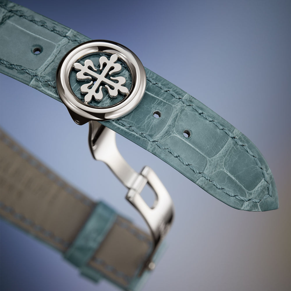 Grand Complications World Time & Minute Repeater 5531G-001 simple Pursuit