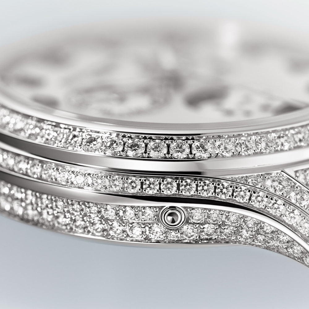 Complications Annual Calendar & Moon Phases Joaillerie 4948G-010 variant Pursuit
