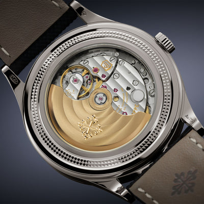 Grand Complications Retrograde Perpetual Calendar 6159G-001 simple Pursuit