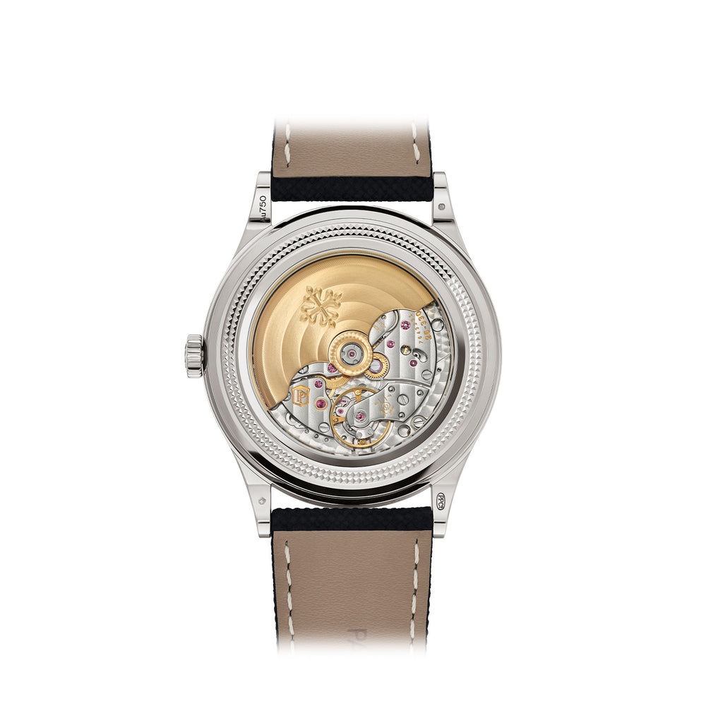 Grand Complications Retrograde Perpetual Calendar 6159G-001 simple Pursuit