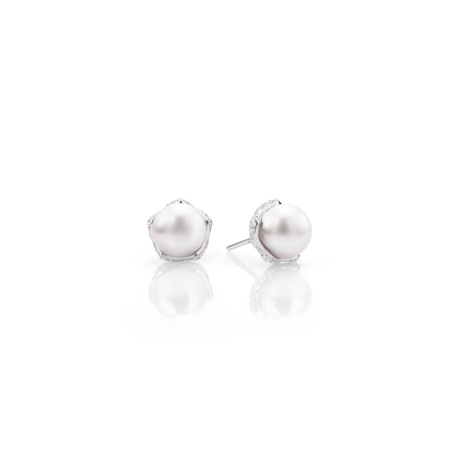 Embrace Akoya Cultured Pearl & Diamond Stud Earrings in 18ct White Gold simple Pursuit