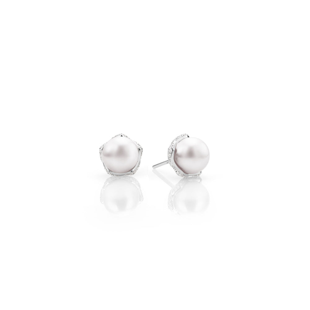 Embrace Akoya Cultured Pearl & Diamond Stud Earrings in 18ct White Gold simple Pursuit
