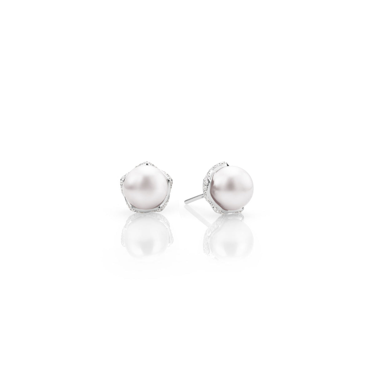 Embrace Akoya Cultured Pearl & Diamond Stud Earrings in 18ct White Gold simple Pursuit