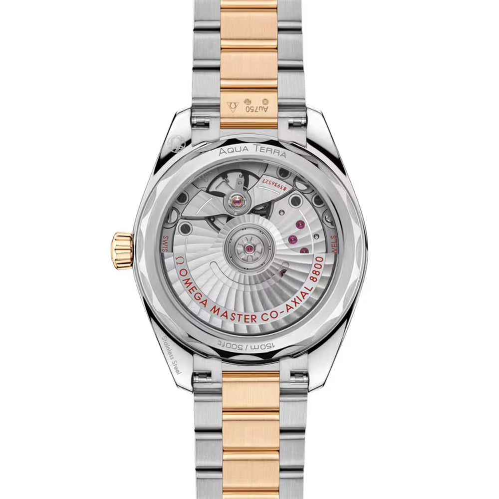 Seamaster Aqua Terra Shades 150m Co-Axial 34mm variant Pursuit