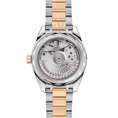 Seamaster Aqua Terra Shades 150m Co-Axial 34mm variant Pursuit