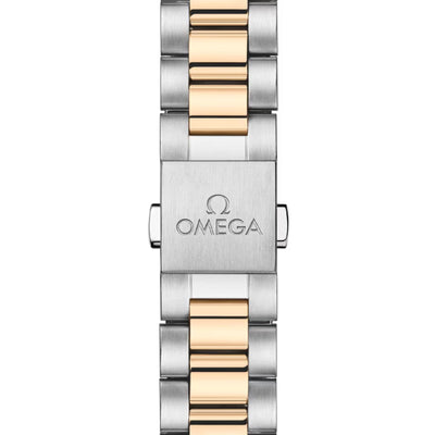 Seamaster Aqua Terra Shades 150m Co-Axial 34mm variant Pursuit