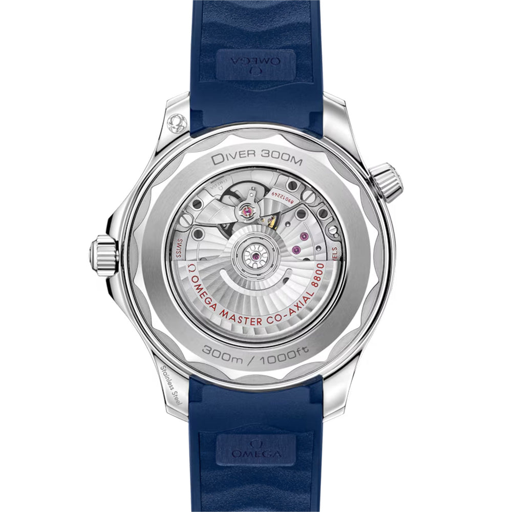 Seamaster Diver 300M Co-Axial 42mm variant Pursuit