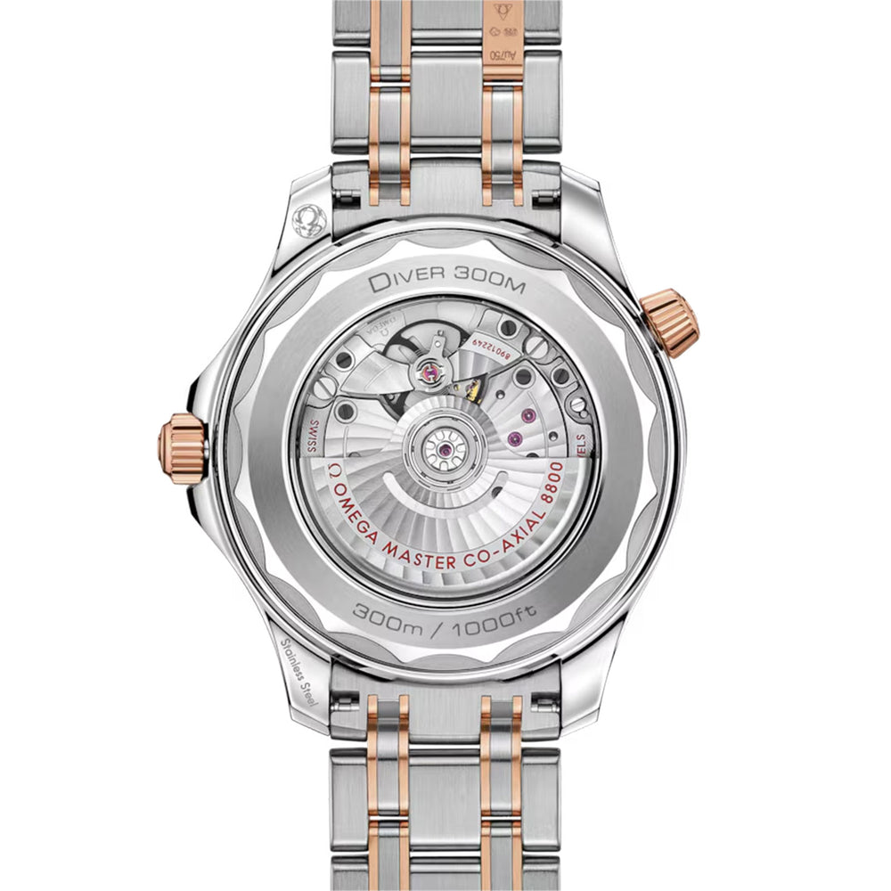 Seamaster Diver 300M Co-Axial 42mm variant Pursuit
