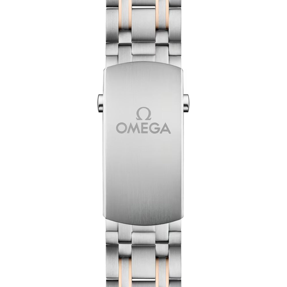 Seamaster Diver 300M Co-Axial 42mm variant Pursuit