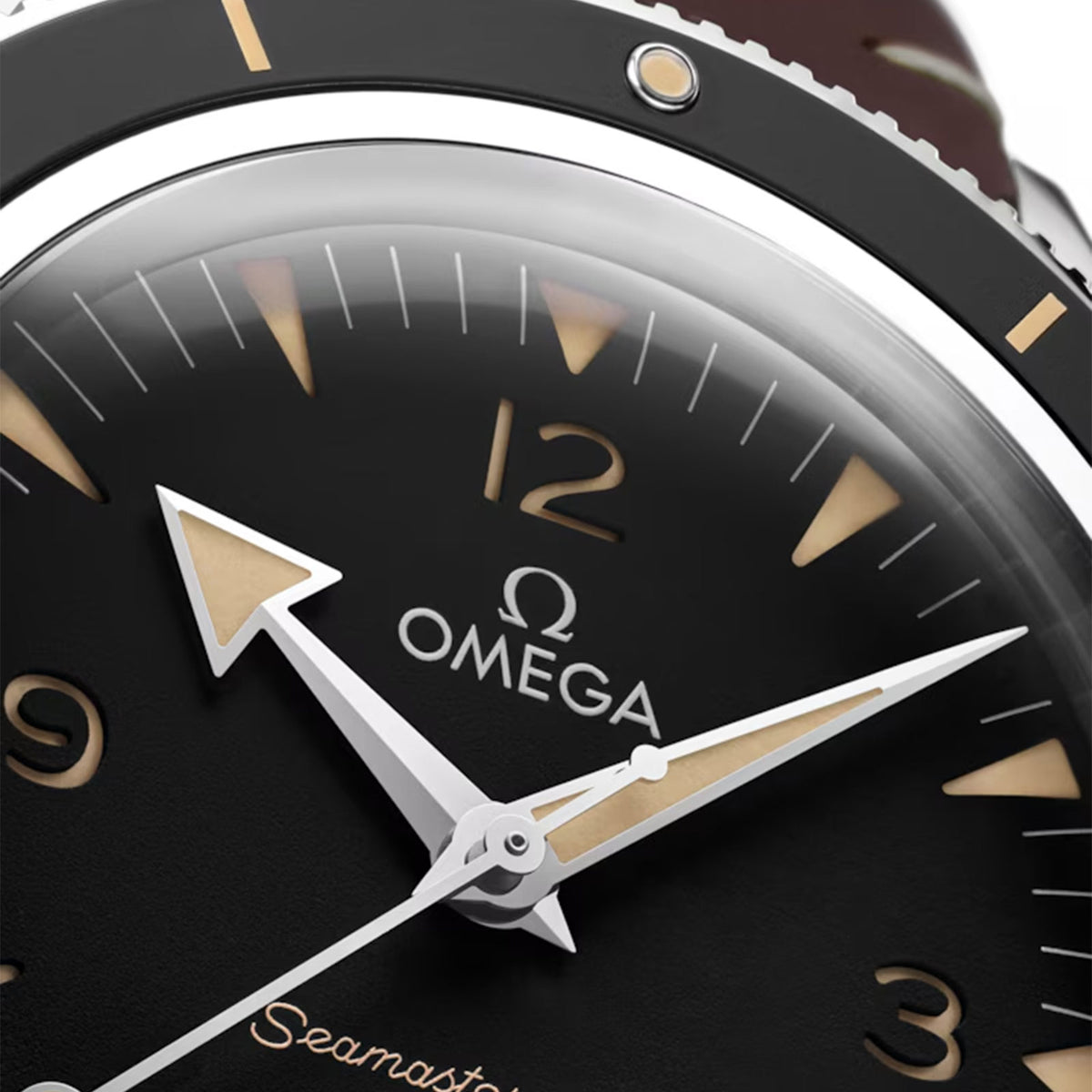 Seamaster 300 Co-Axial 41mm variant Pursuit