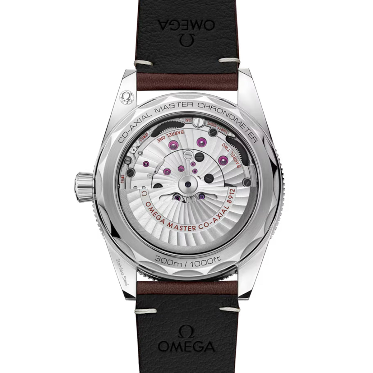 Seamaster 300 Co-Axial 41mm variant Pursuit