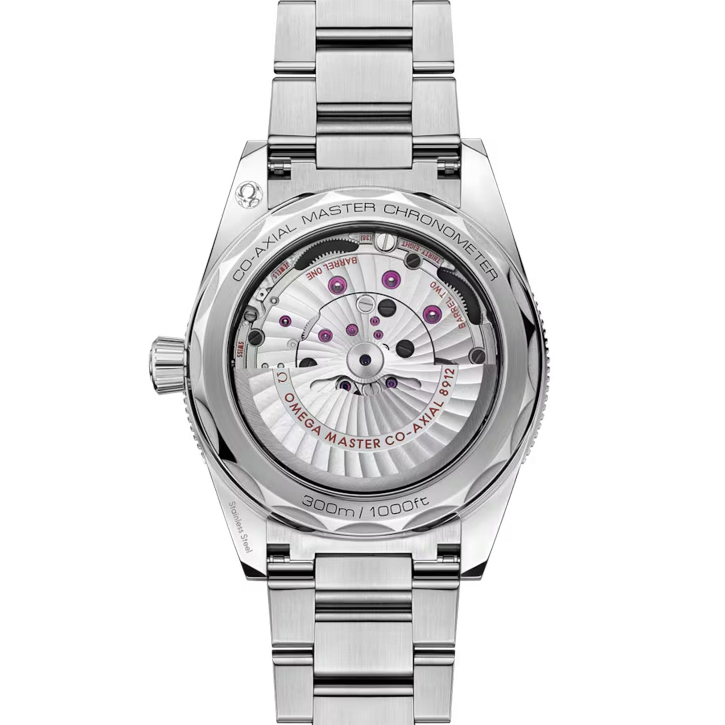 Seamaster 300 Co-Axial 41mm variant Pursuit
