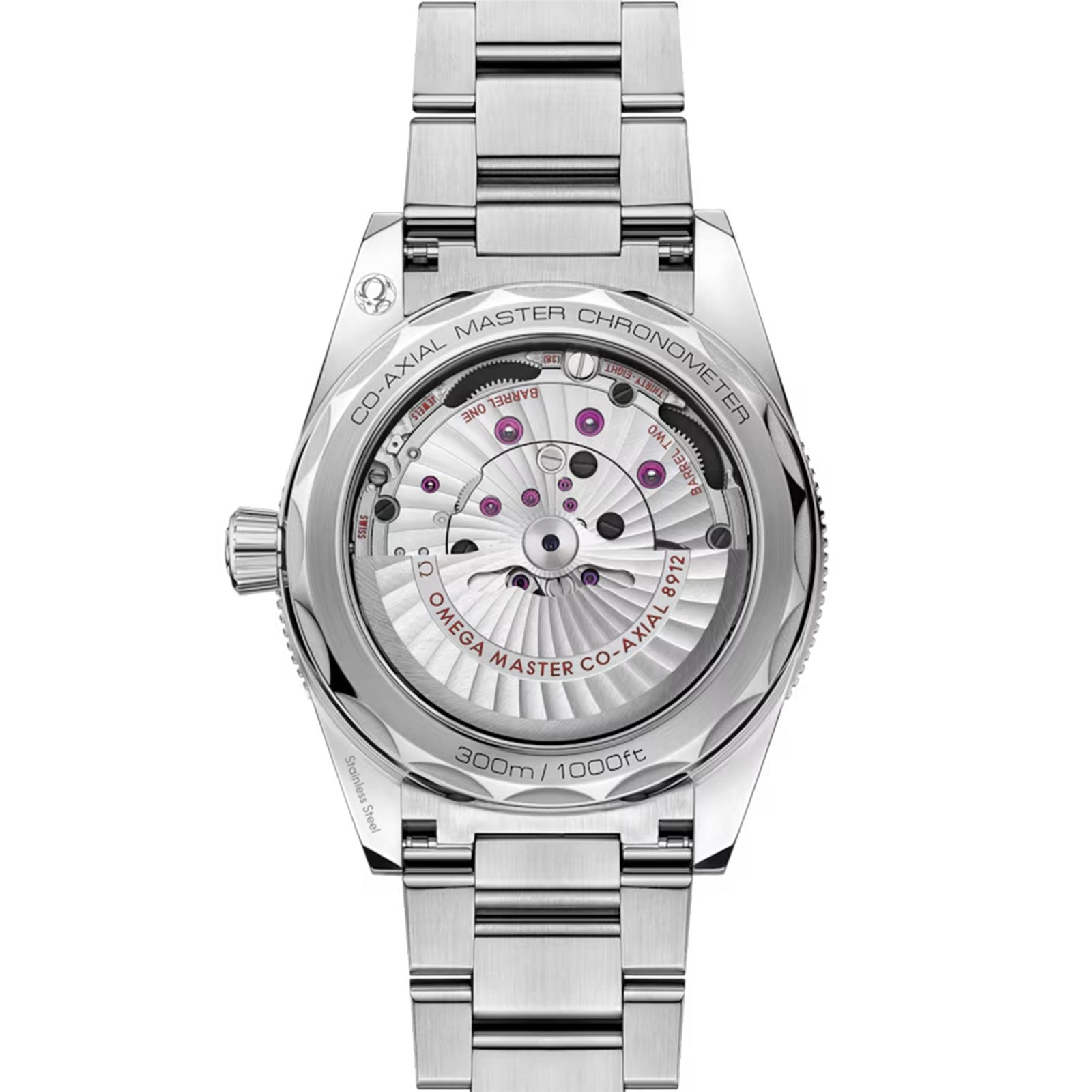 Seamaster 300 Co-Axial 41mm variant Pursuit