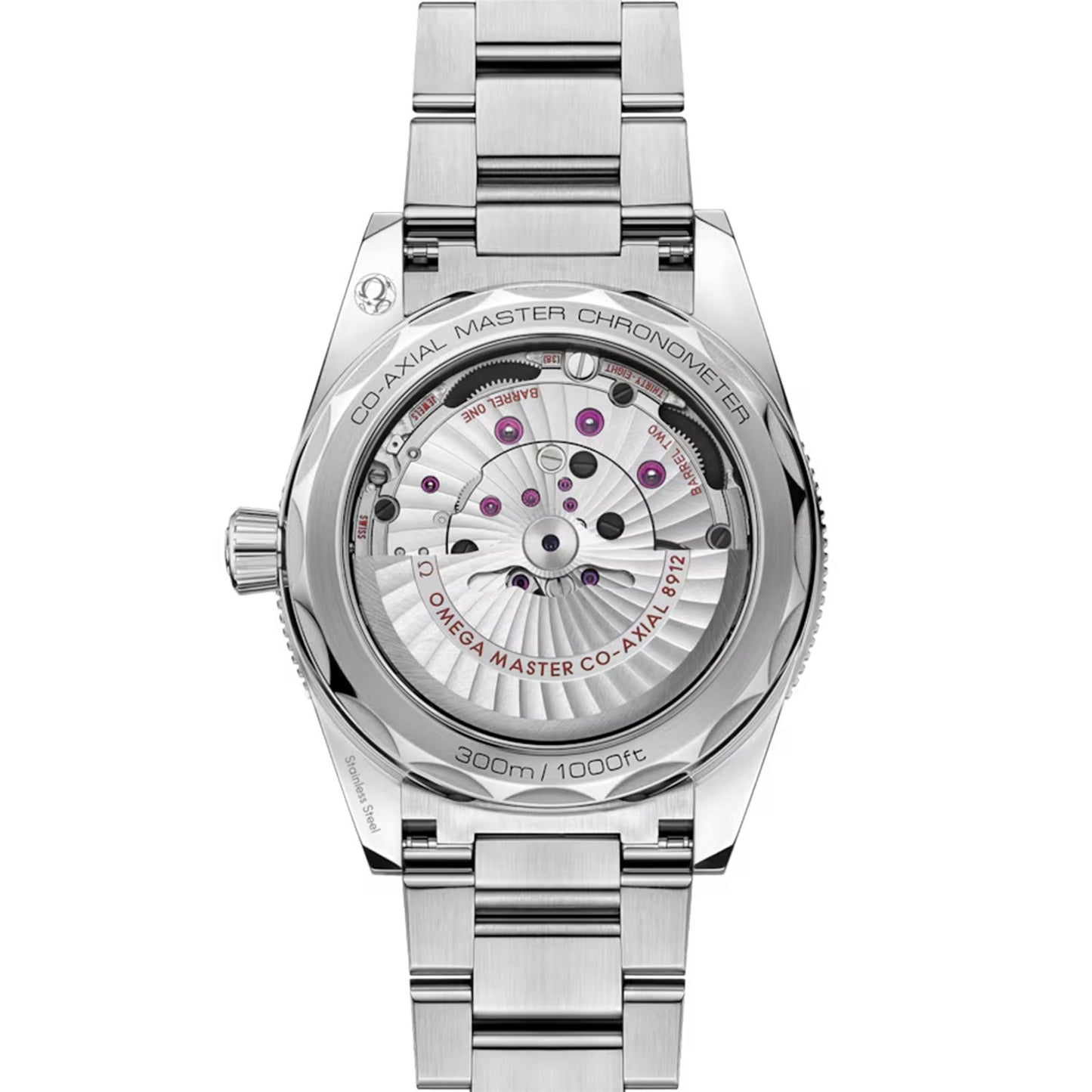 Seamaster 300 Co-Axial 41mm variant Pursuit