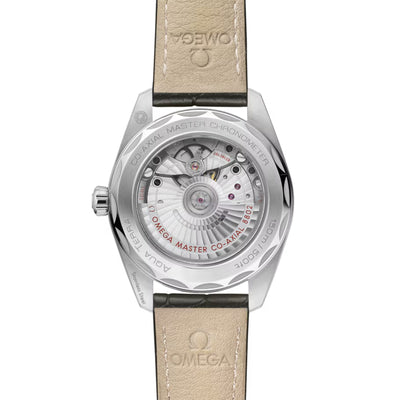 Seamaster Aqua Terra 150m Co-Axial 38mm variant Pursuit