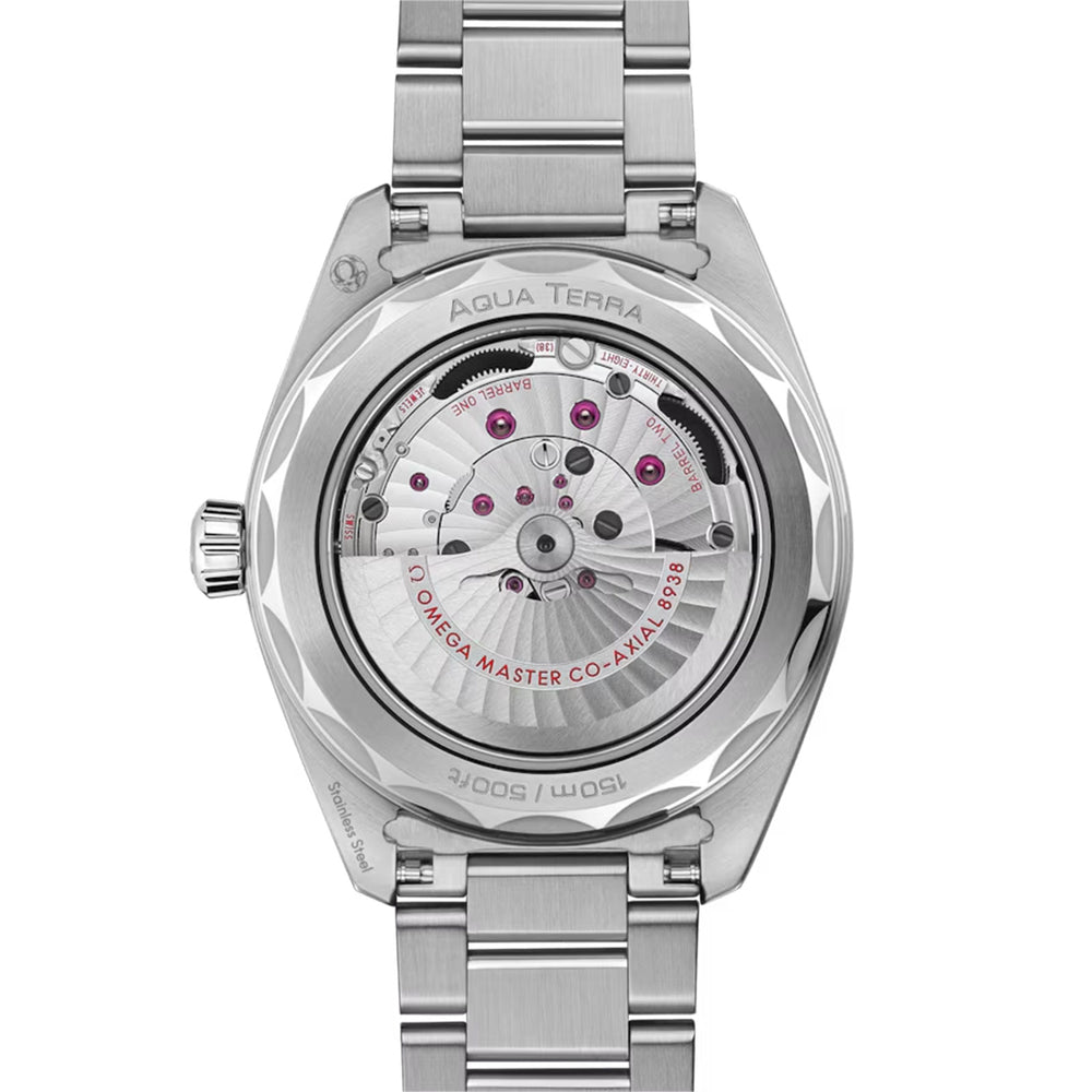 Seamaster Aqua Terra 150m Co-Axial GMT Worldtimer 43mm variant Pursuit