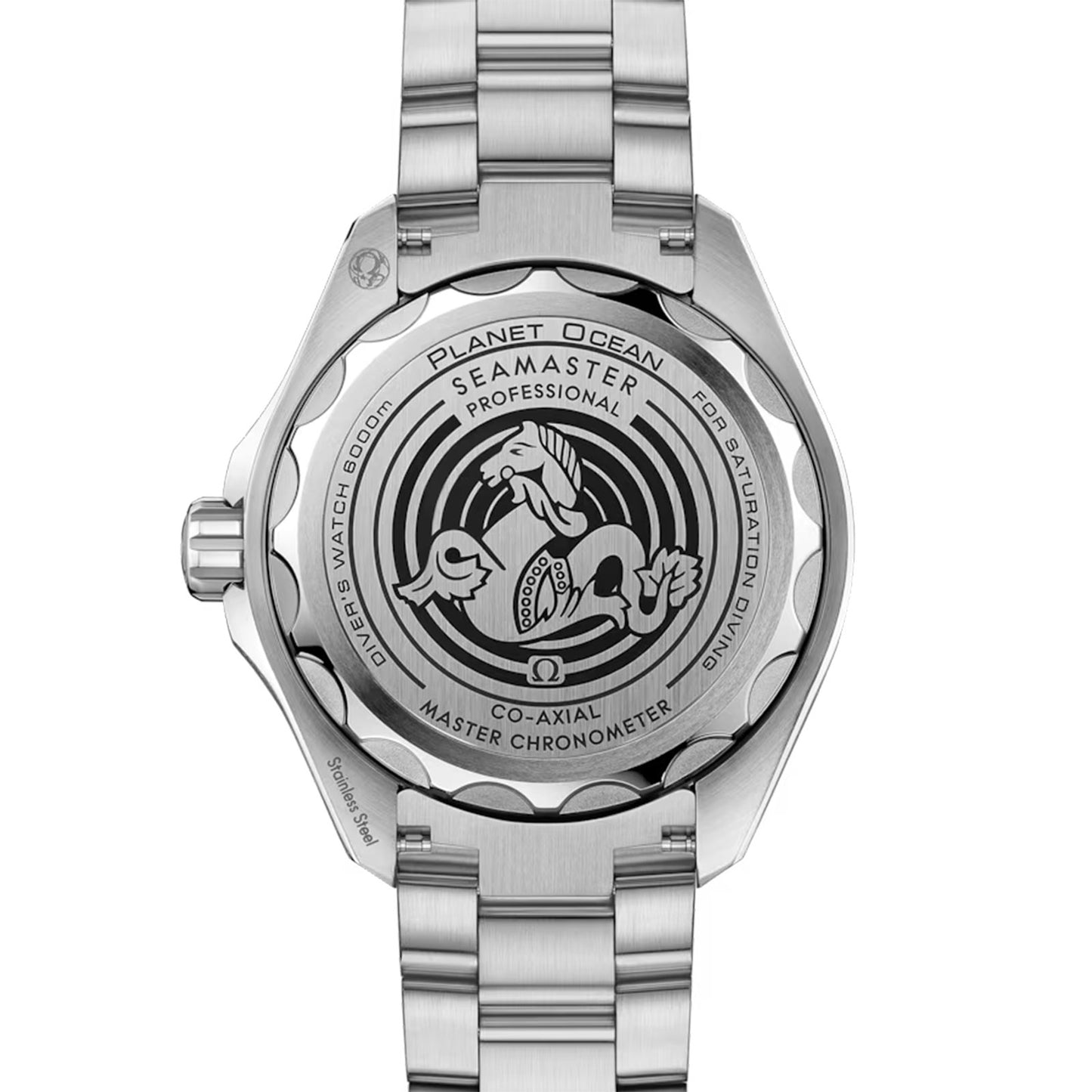 Seamaster Planet Ocean Ultra Deep 6000m Co-Axial 45.5mm variant Pursuit