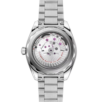 Seamaster Aqua Terra 150m Co-Axial 41mm variant Pursuit