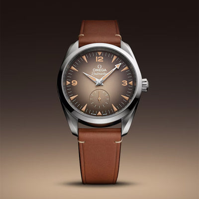 Seamaster Railmaster Co-Axial 38mm variant Pursuit