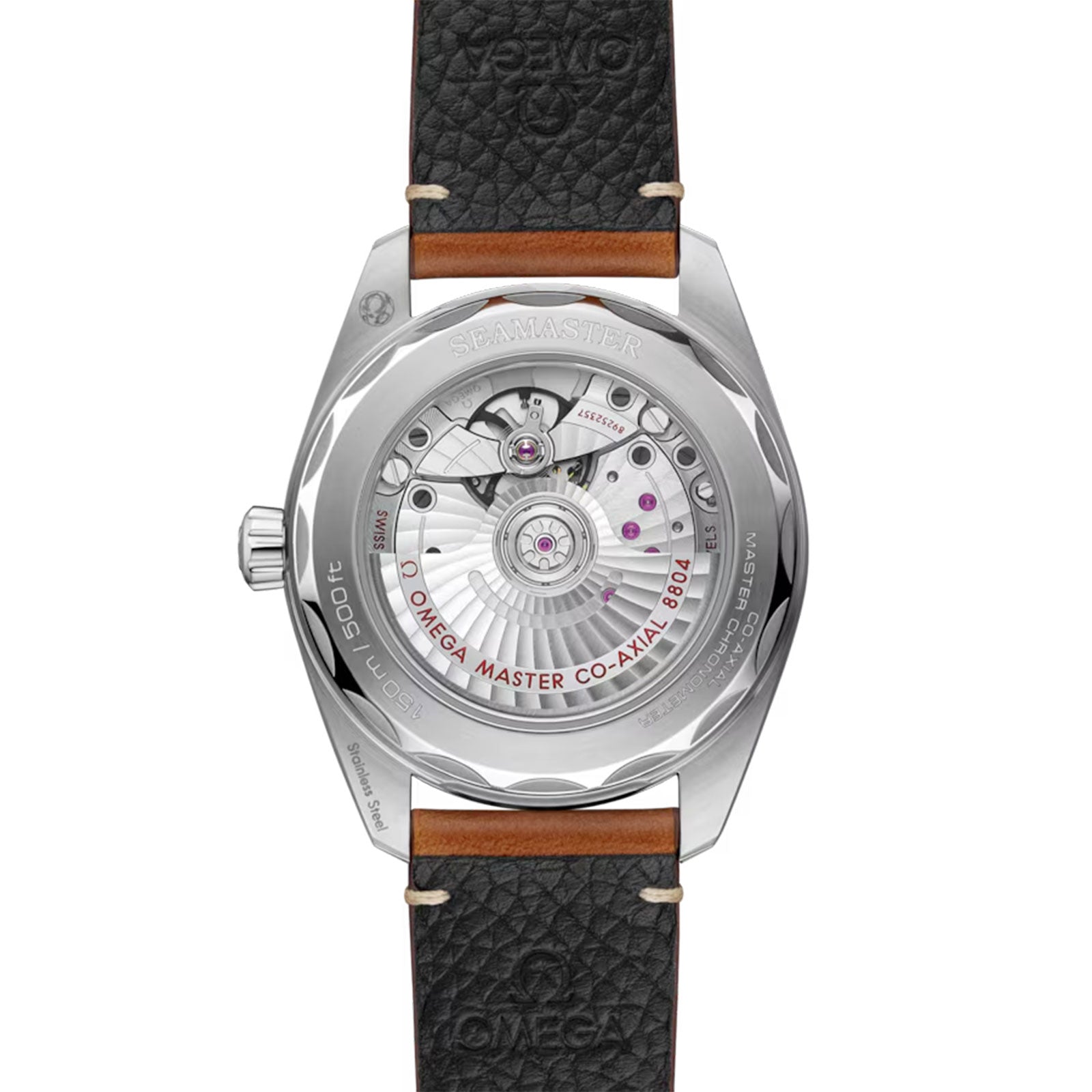 Seamaster Railmaster Co-Axial 38mm variant Pursuit