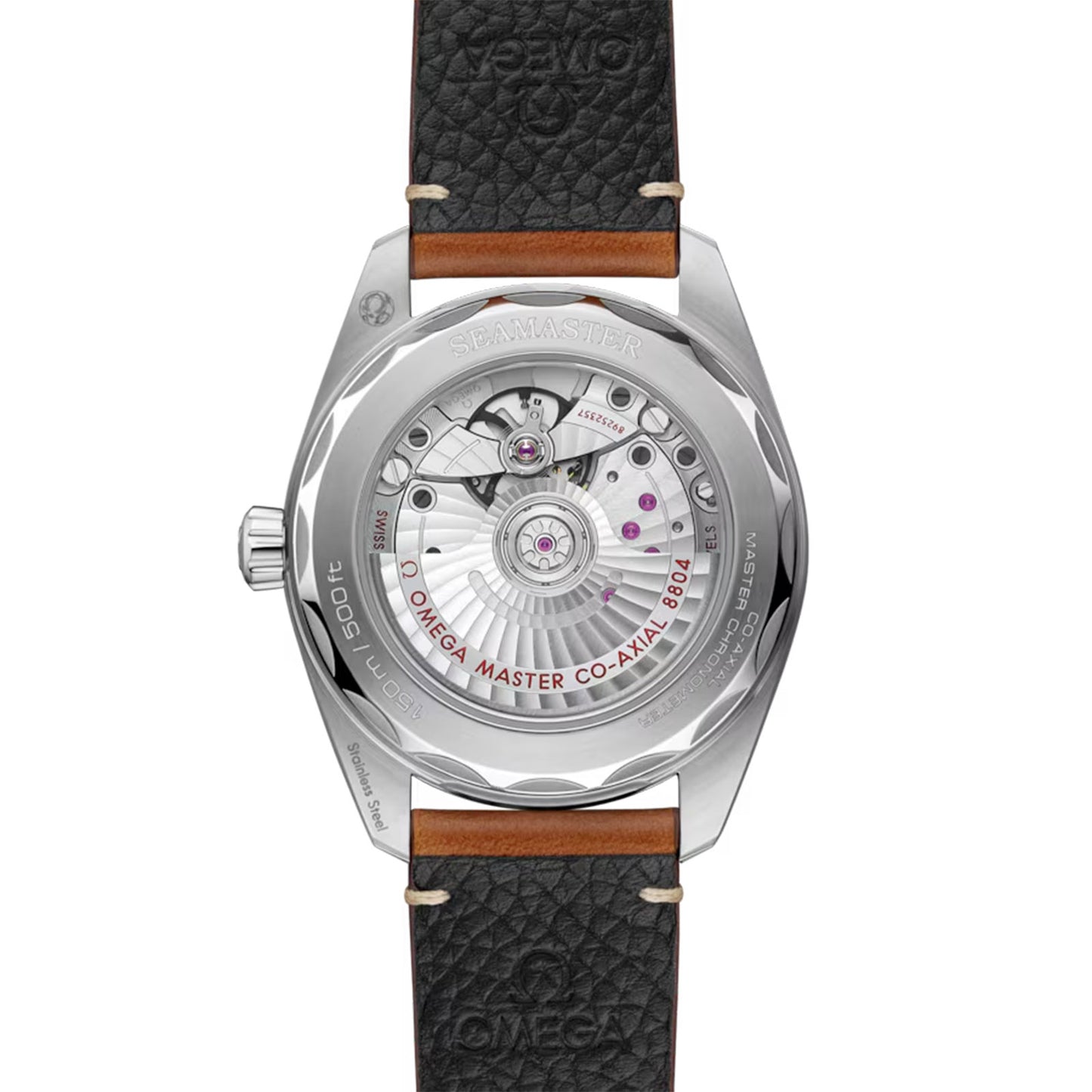 Seamaster Railmaster Co-Axial 38mm variant Pursuit