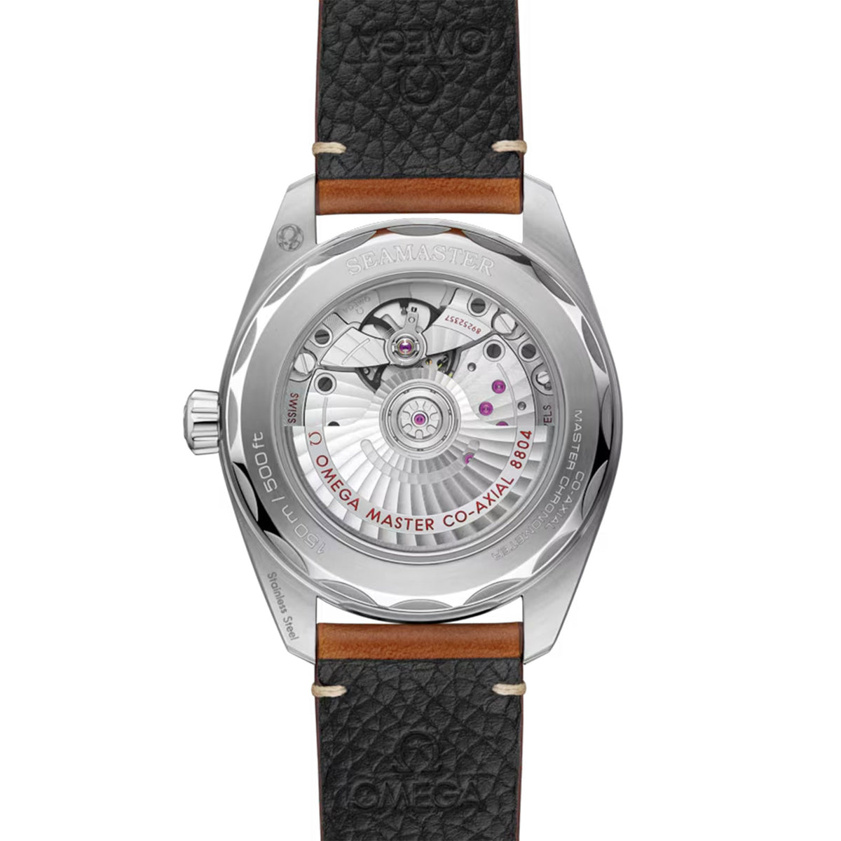 Seamaster Railmaster Co-Axial 38mm variant Pursuit