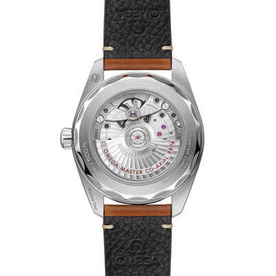 Seamaster Railmaster Co-Axial 38mm variant Pursuit